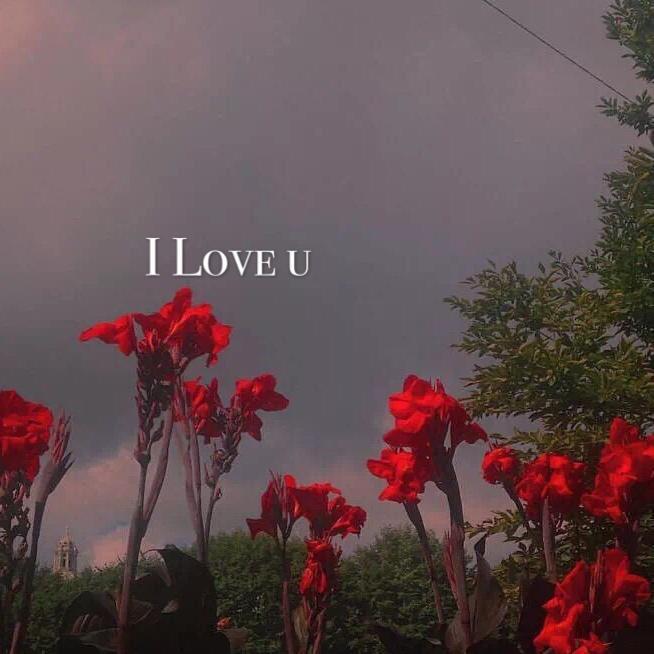 I love you