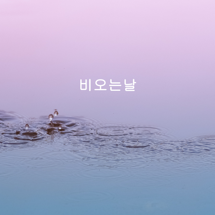 비오는날