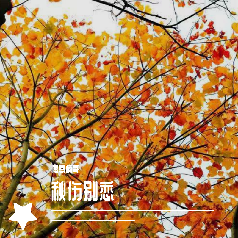 秋伤别恋