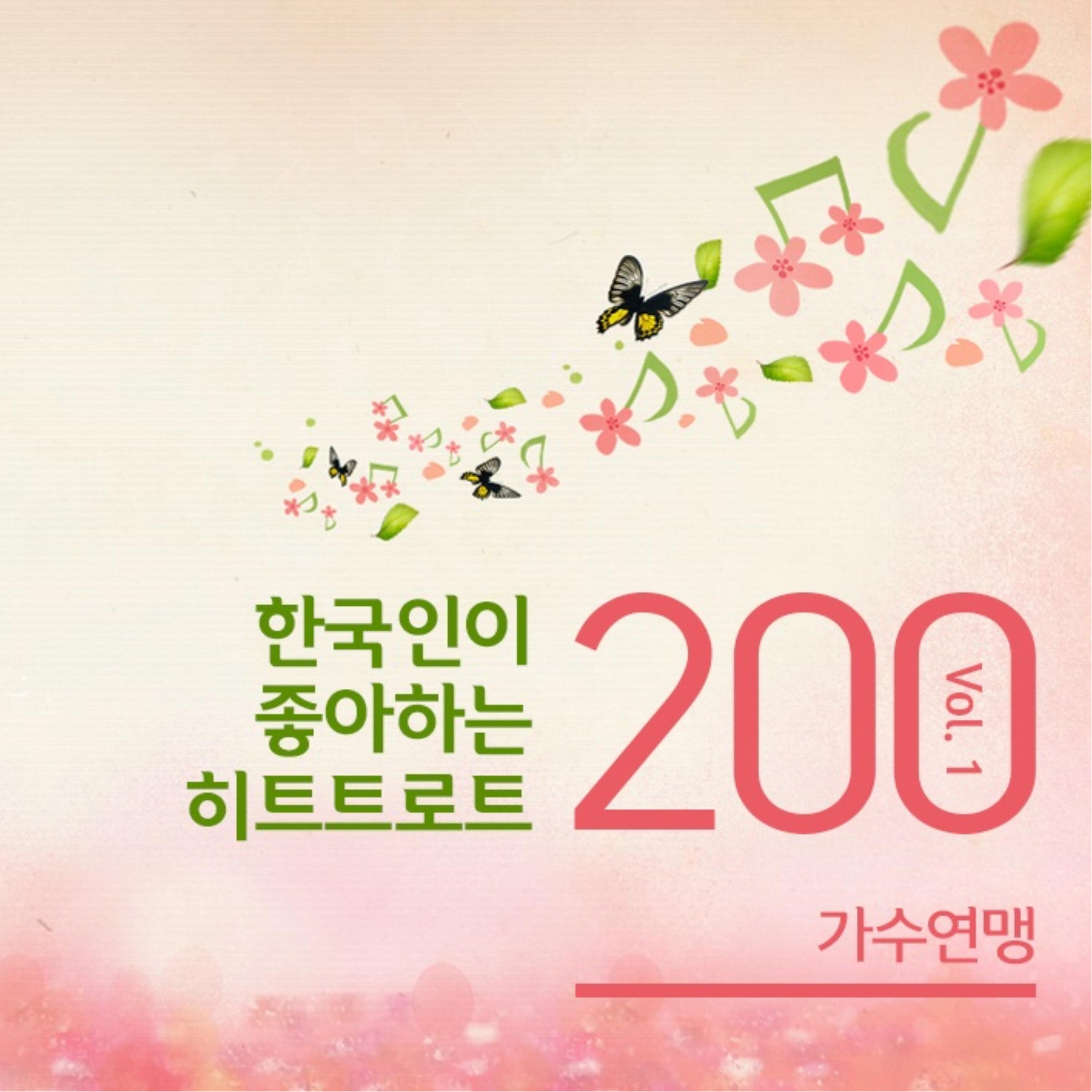 부산 갈매기