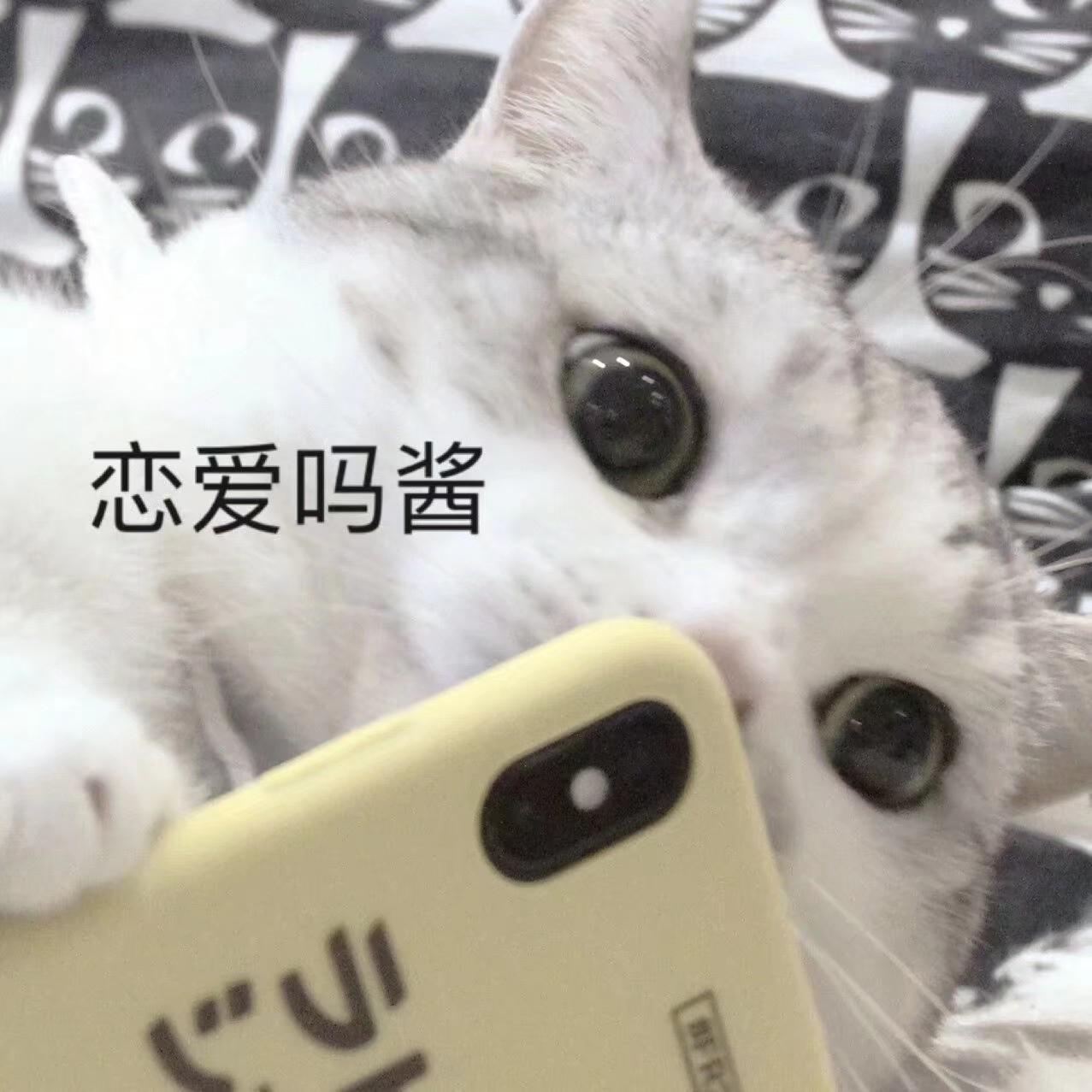 彼女は旅に出る