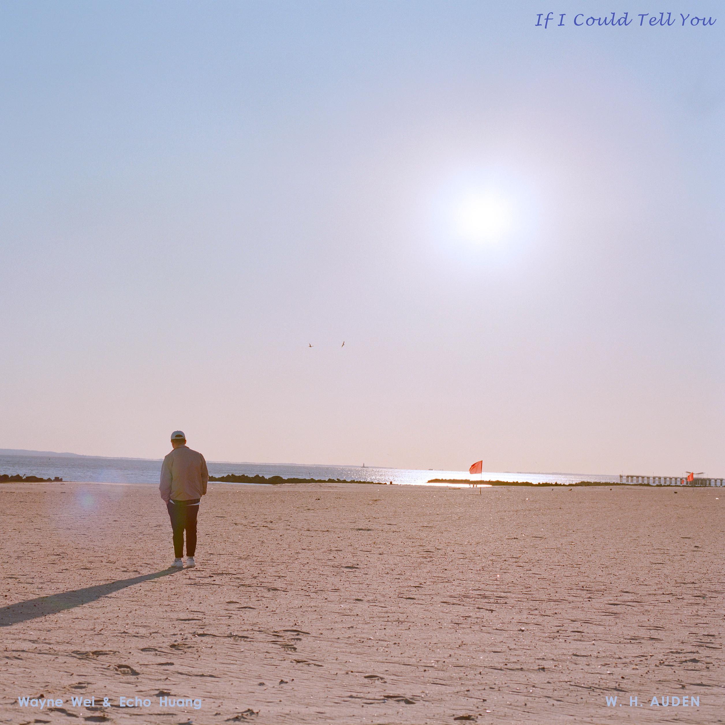 If I Could Tell You