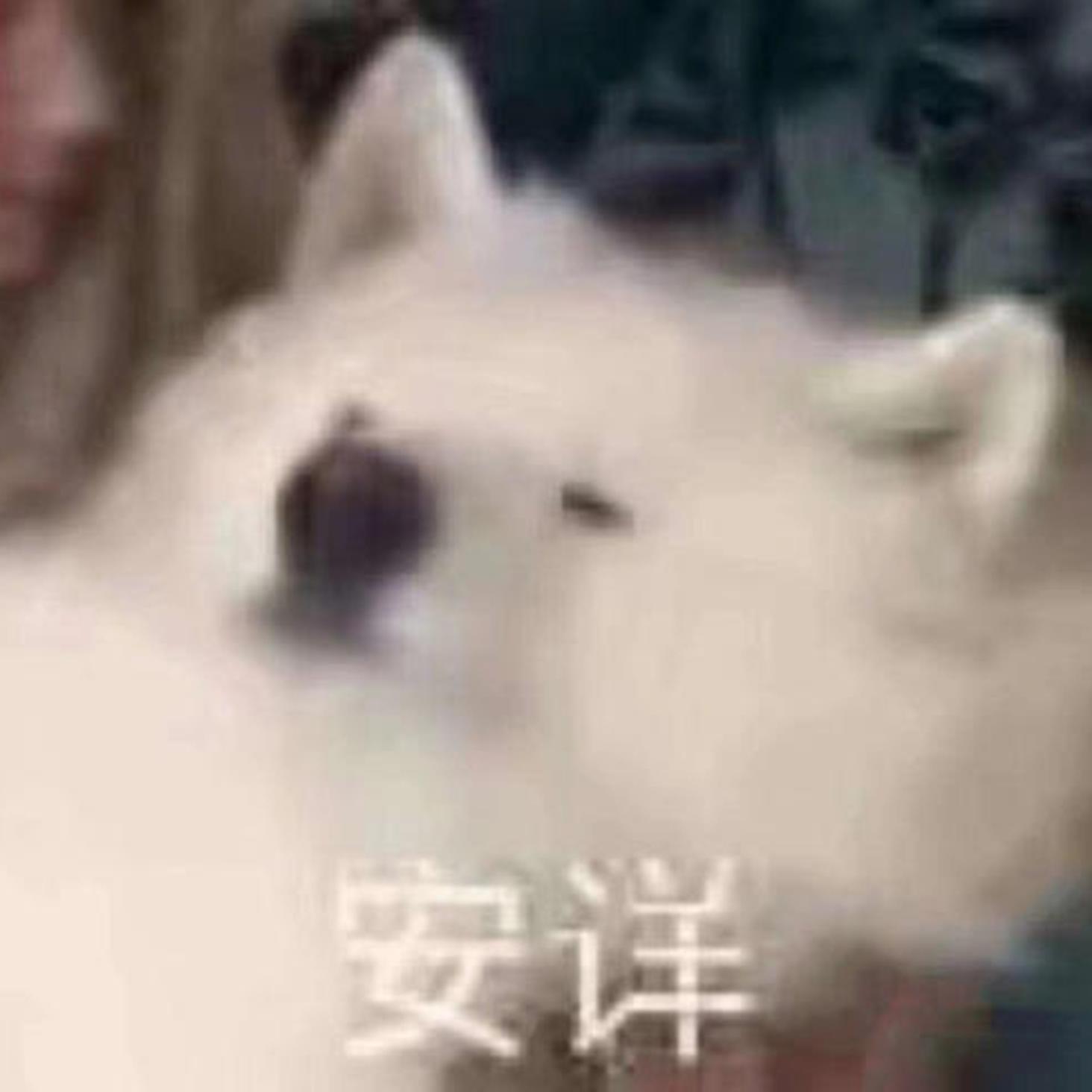 緋色月下、狂咲ノ絶