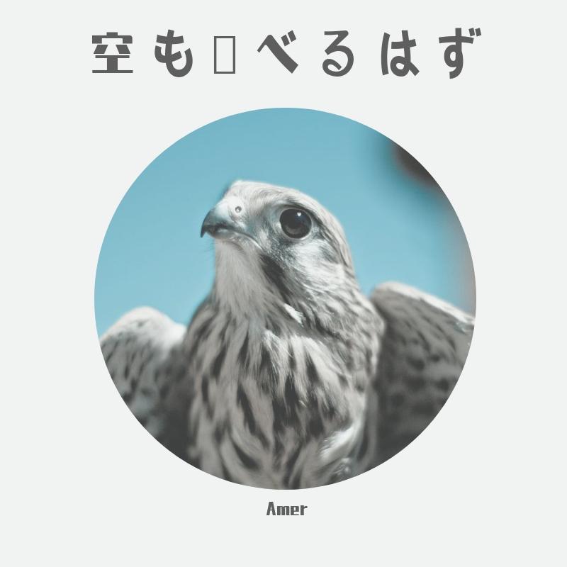 空も飛べるはず