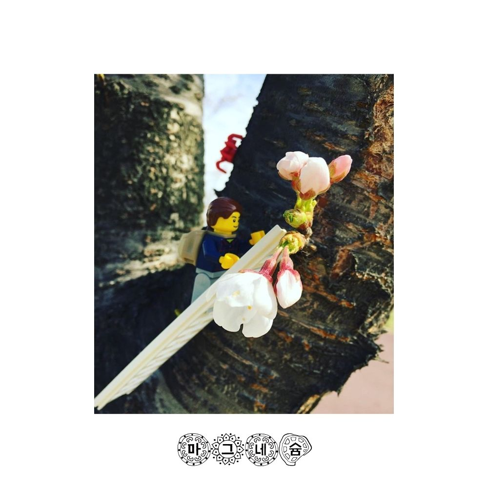 마그네슘