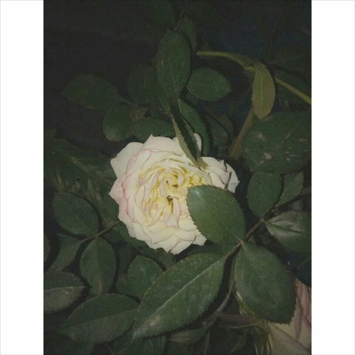 This Is For My Girl