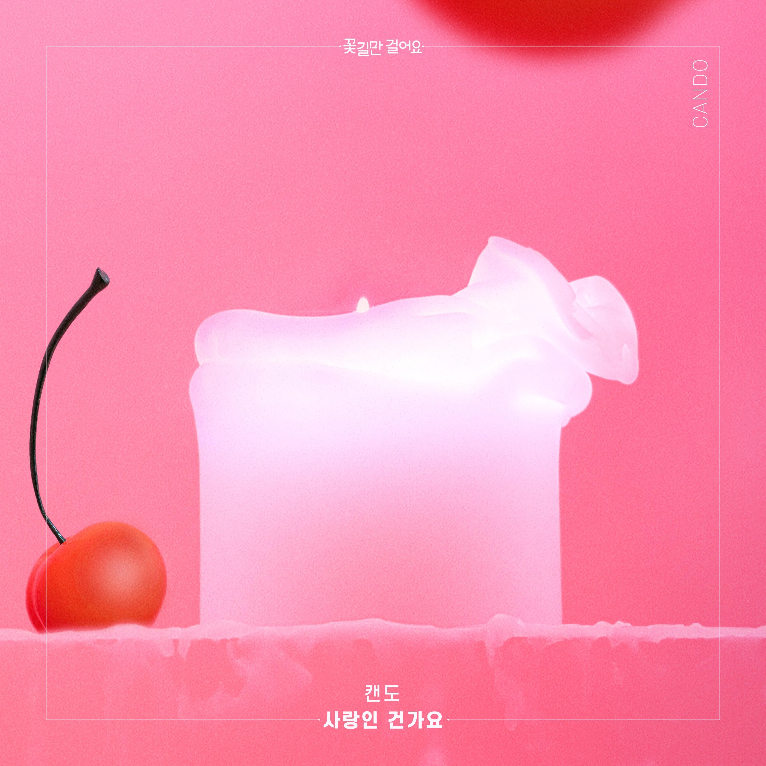 사랑인건가요