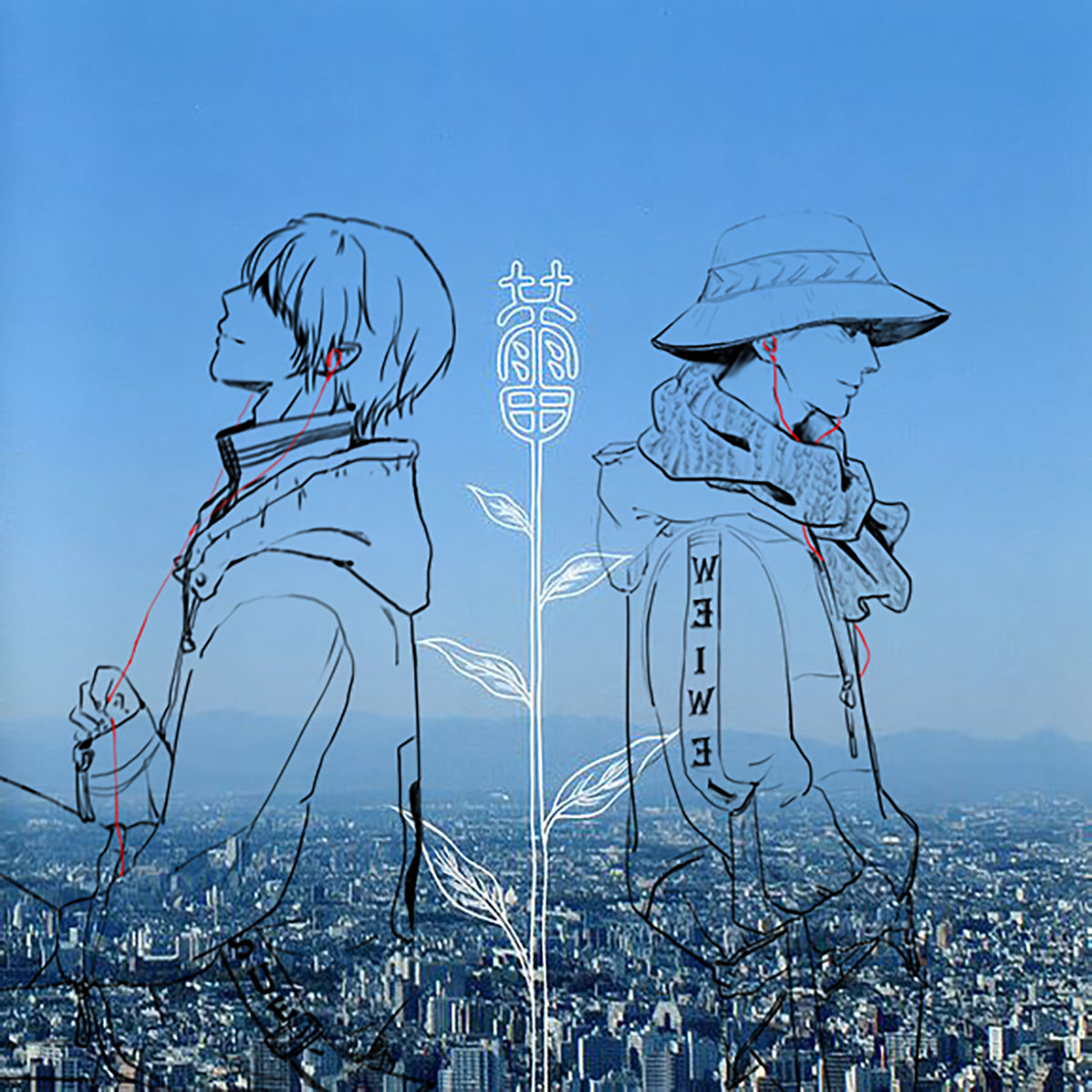 蕾