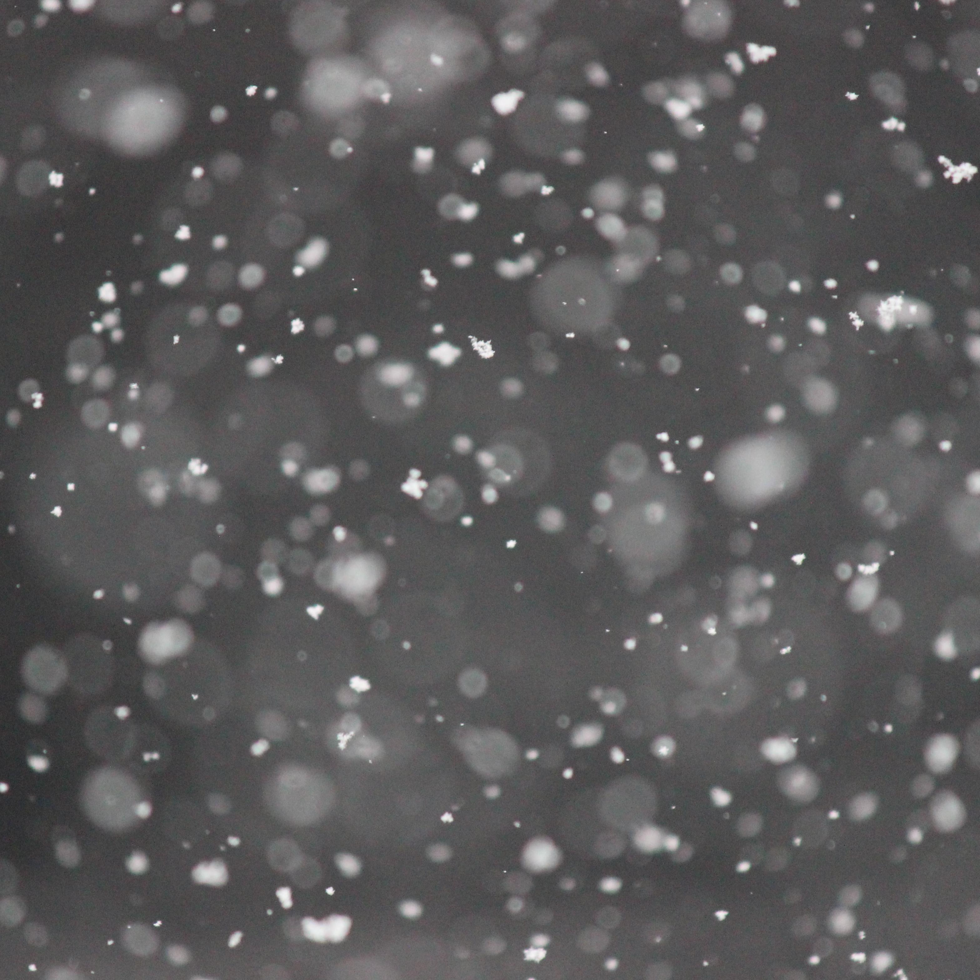 SNOW