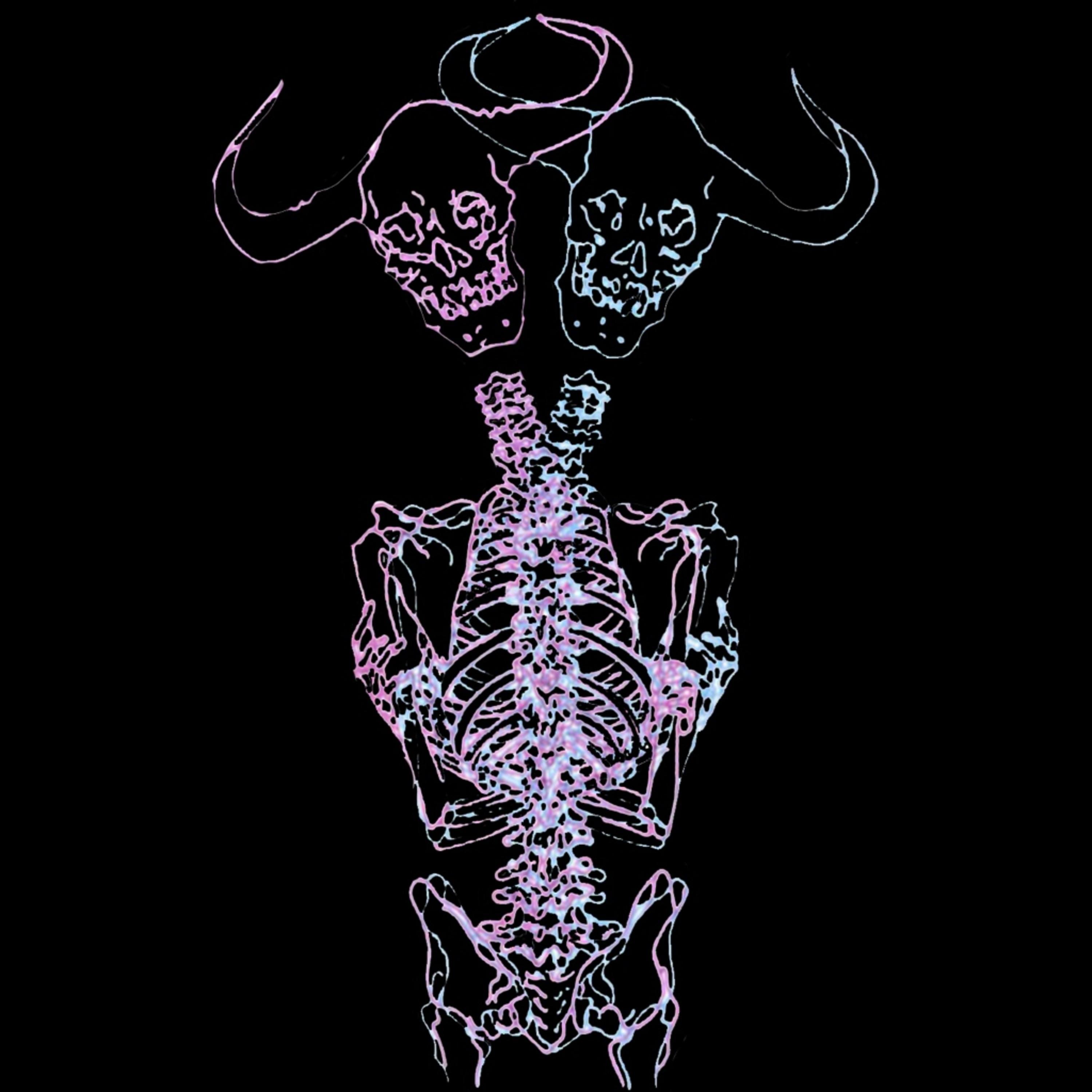 Taurus