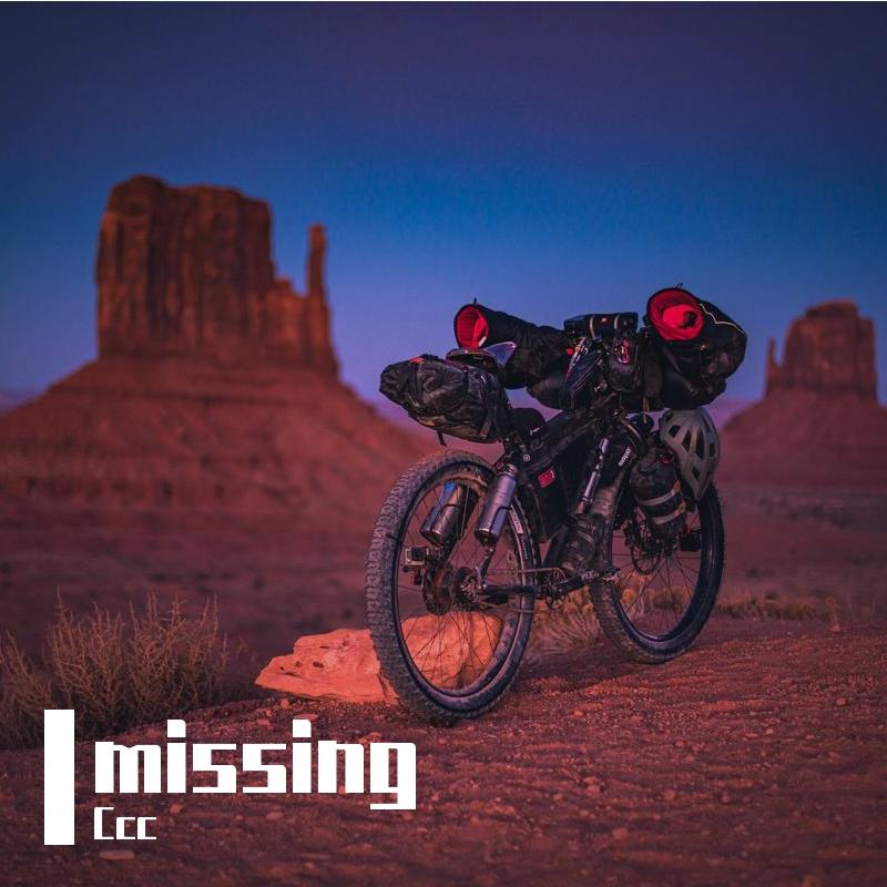 Missing