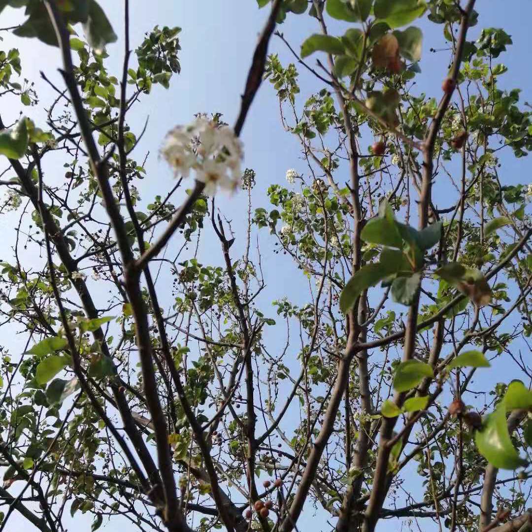 愈合