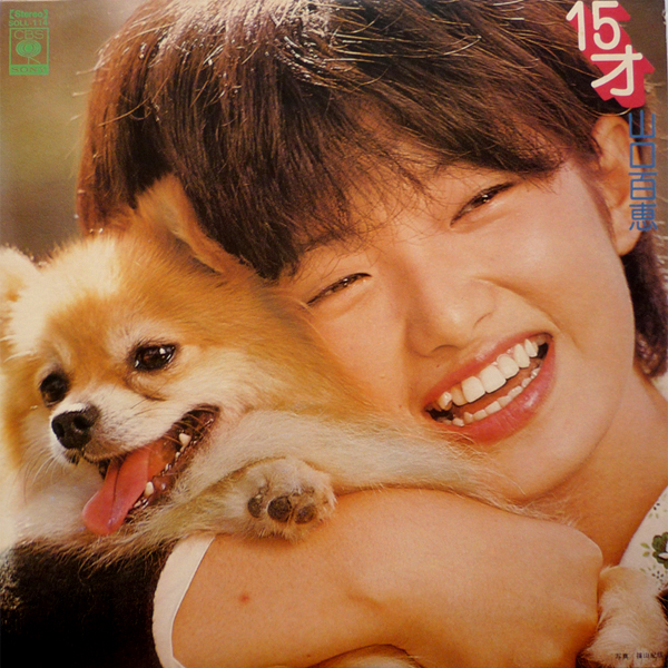 清洁な恋