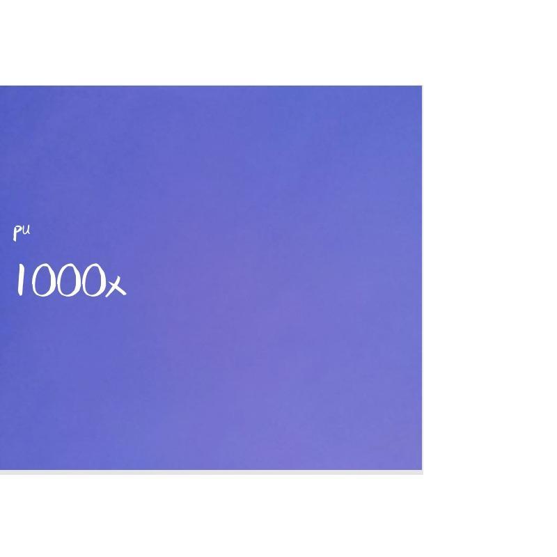1000x