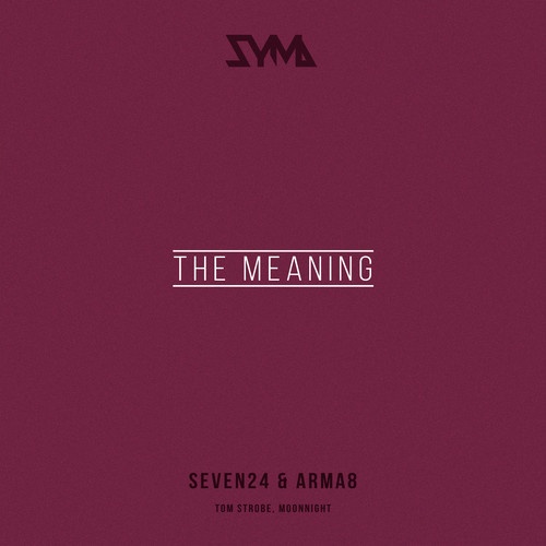 The Meaning (Moonnight Chillout Remix)