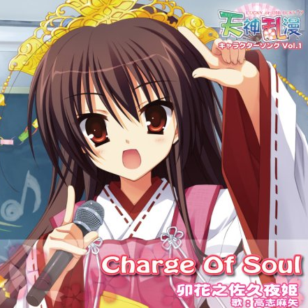 Charge Of Soul