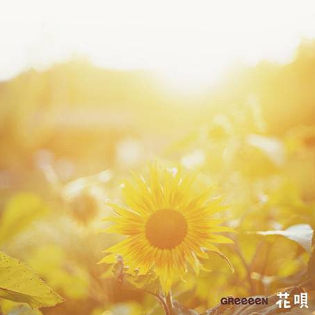 花呗