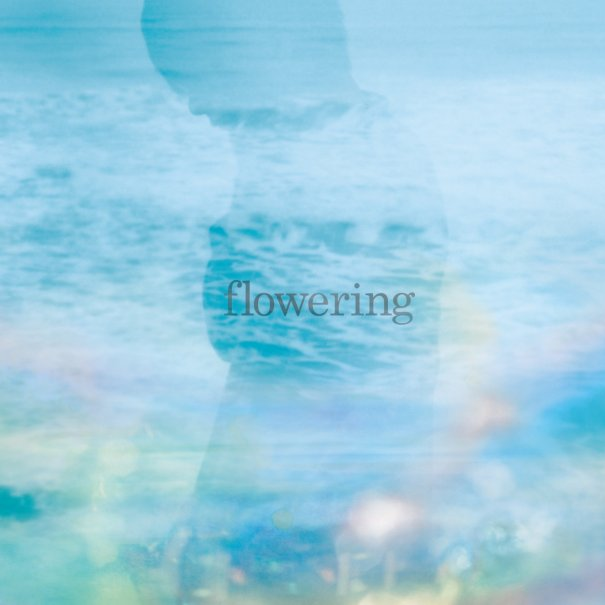 haze
