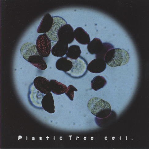cell