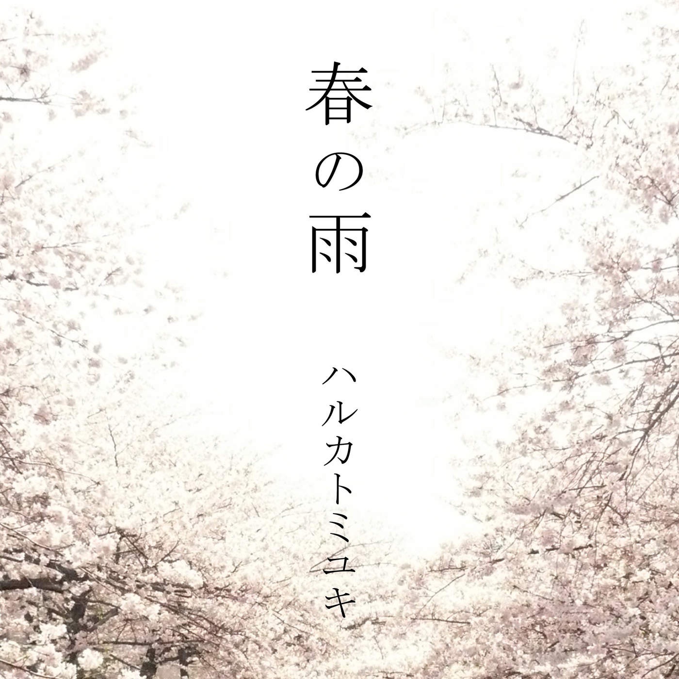 春の雨