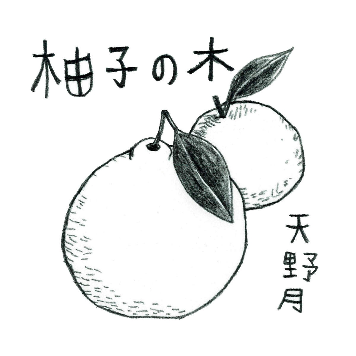 柚子の木