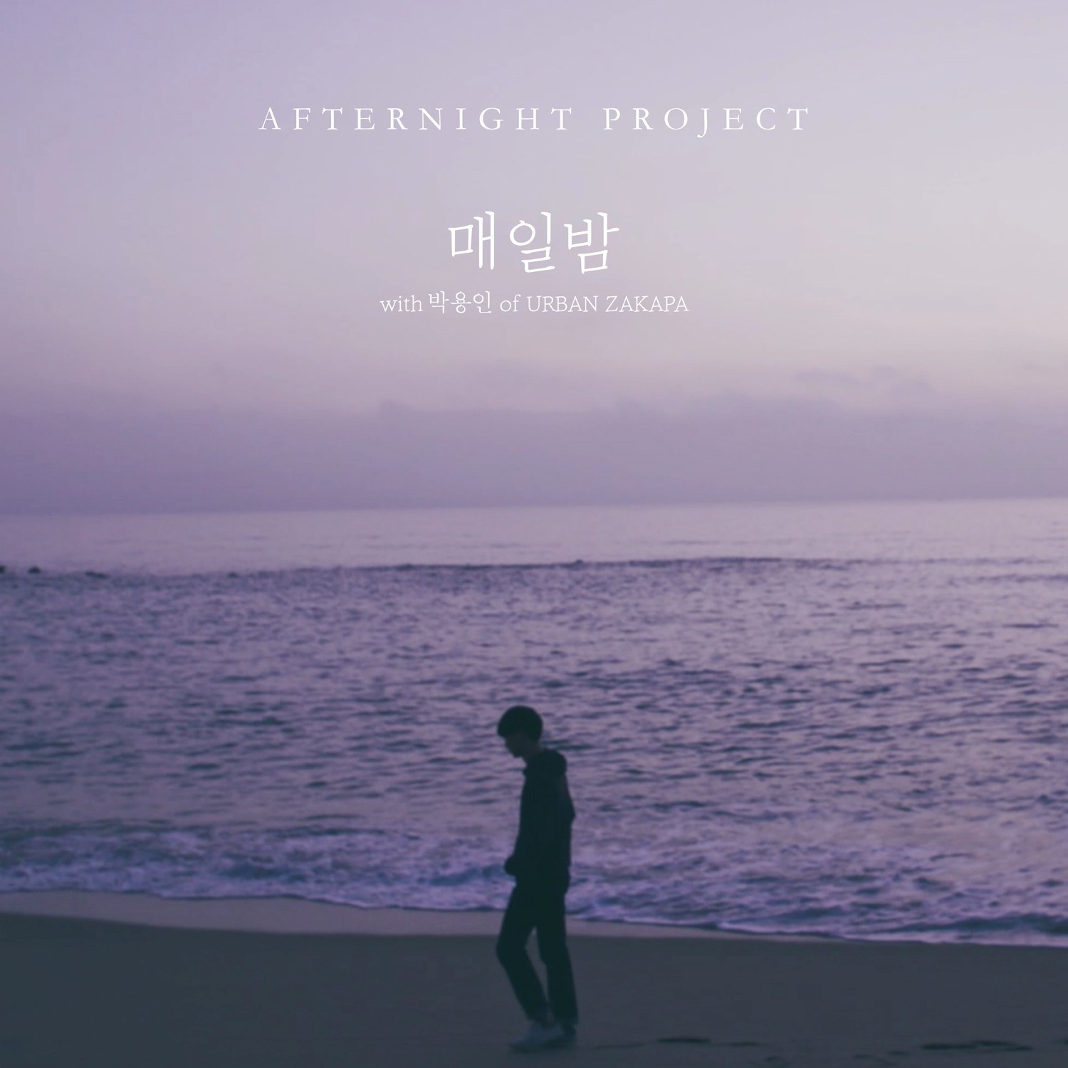 매일밤 