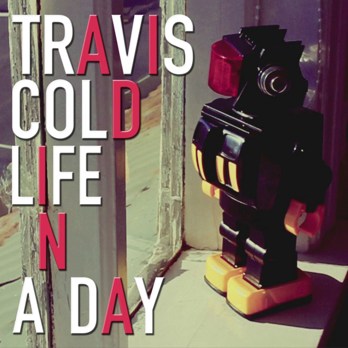 Life in a Day