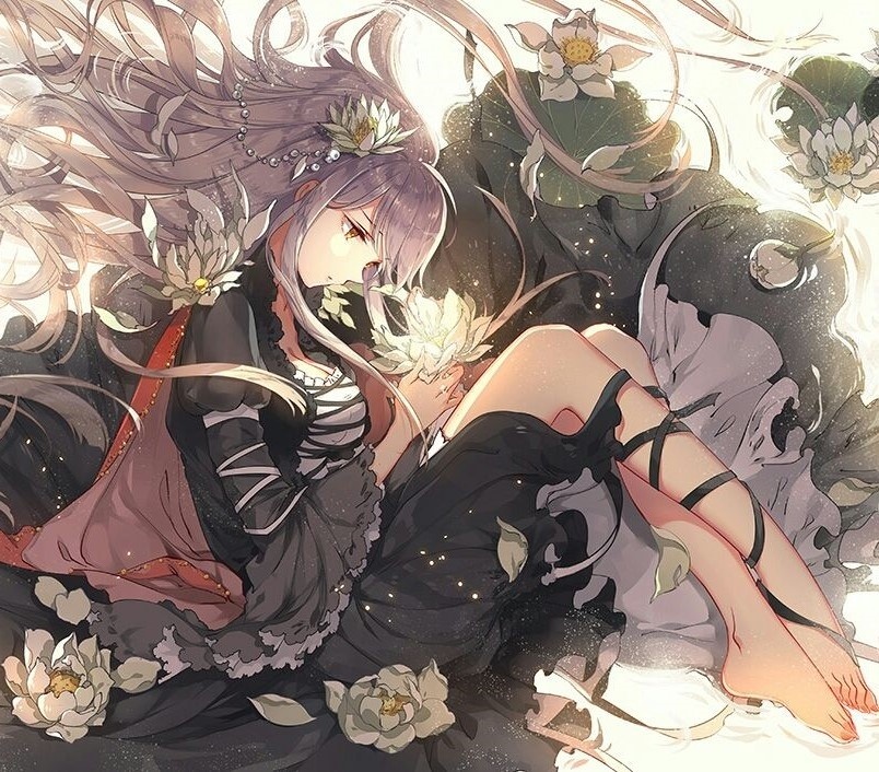 恋の花曲