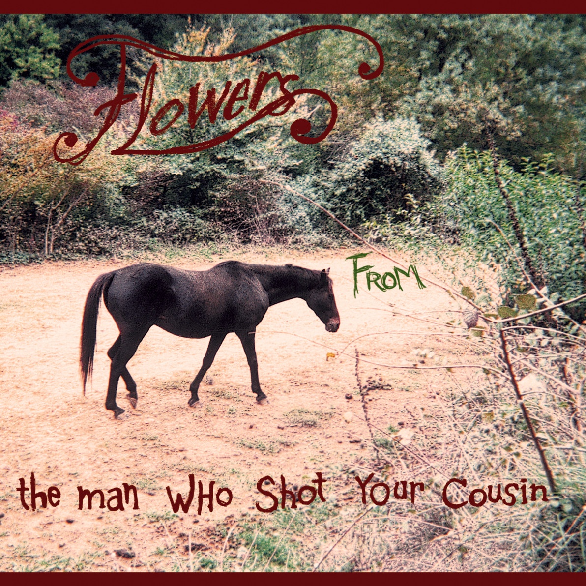 lay down your arms