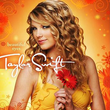 Picture To Burn (Radio Edit)