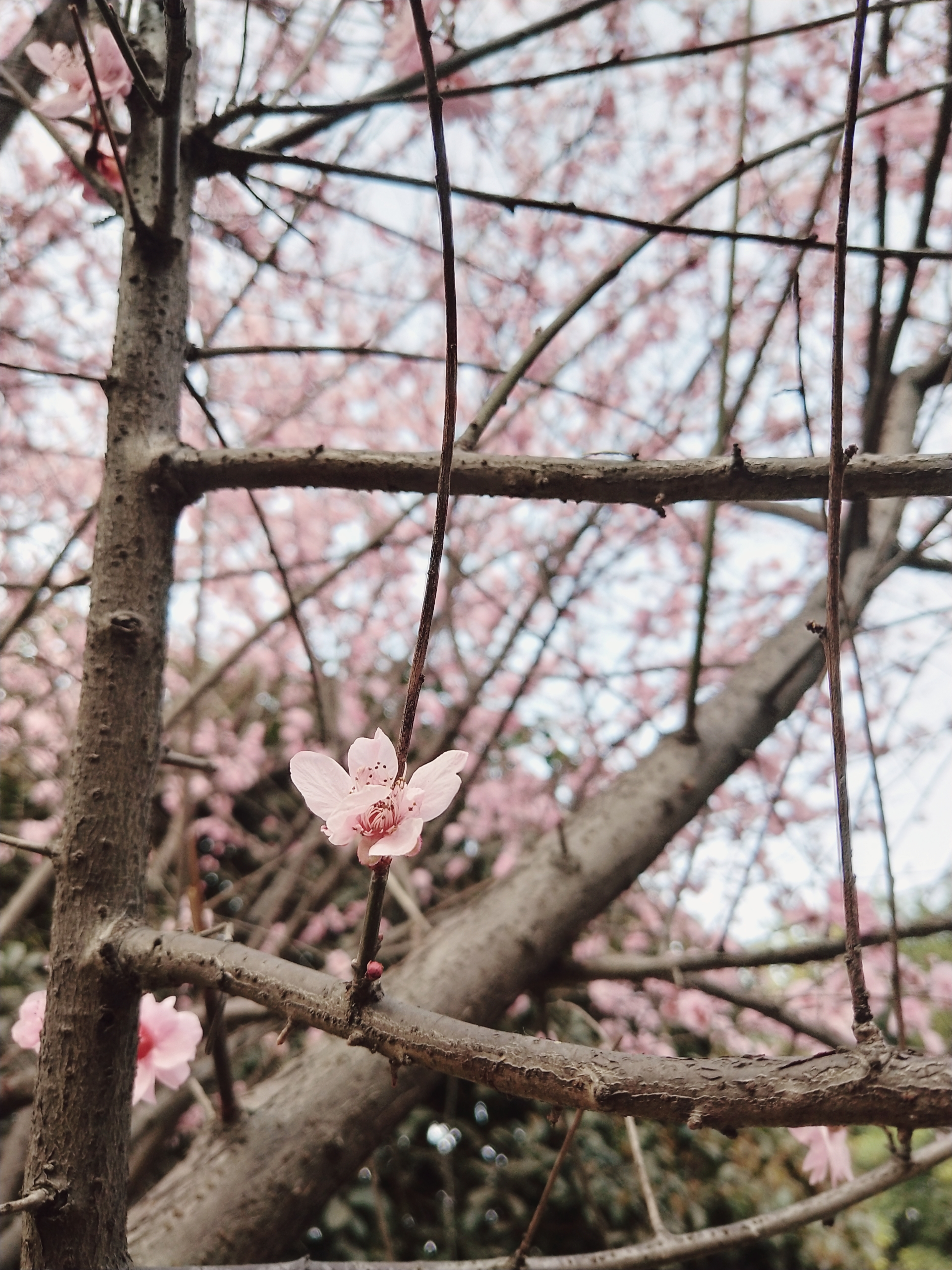 愛してる